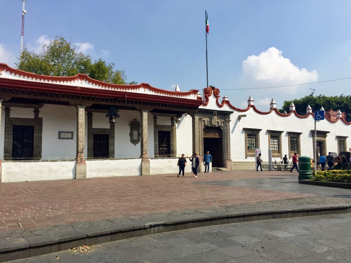 Coyoacán — Clara Contigo