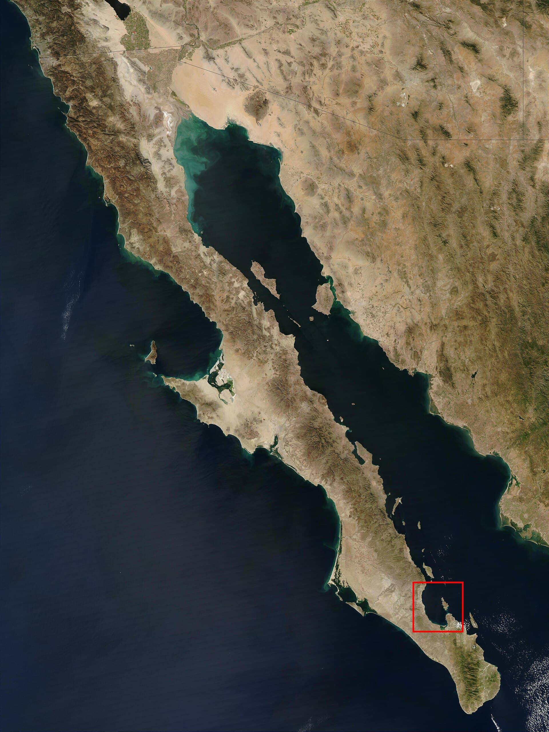 La Paz — Clara Contigo