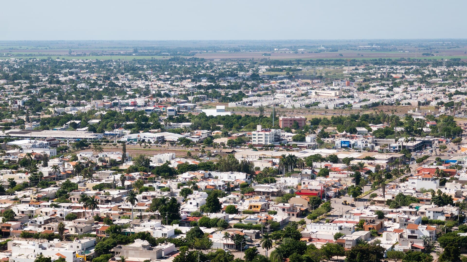 Los Mochis — Clara Contigo