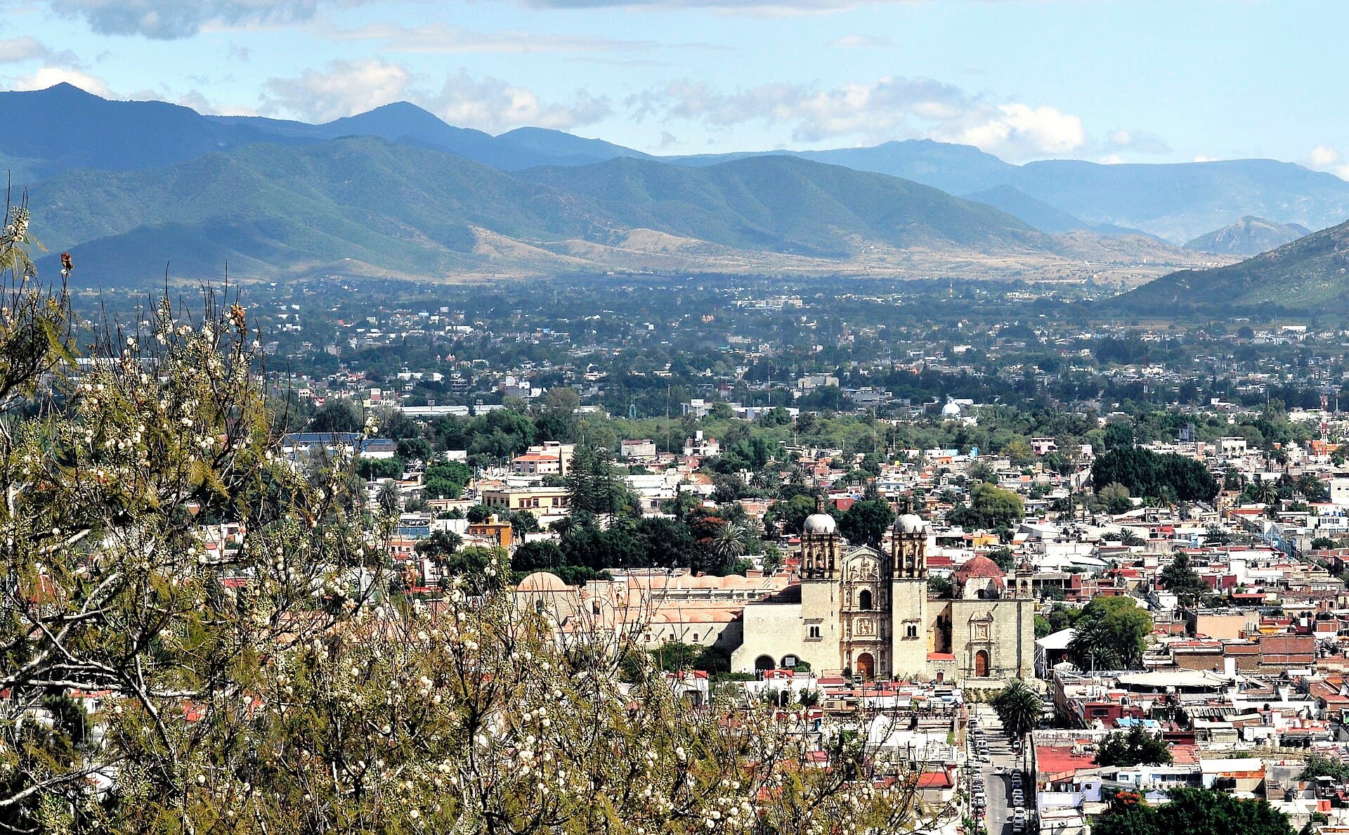 Oaxaca de Juárez — Clara Contigo