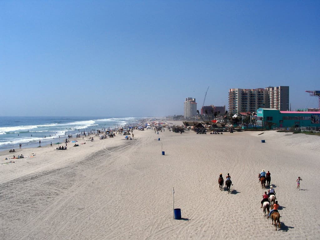 Rosarito — Clara Contigo