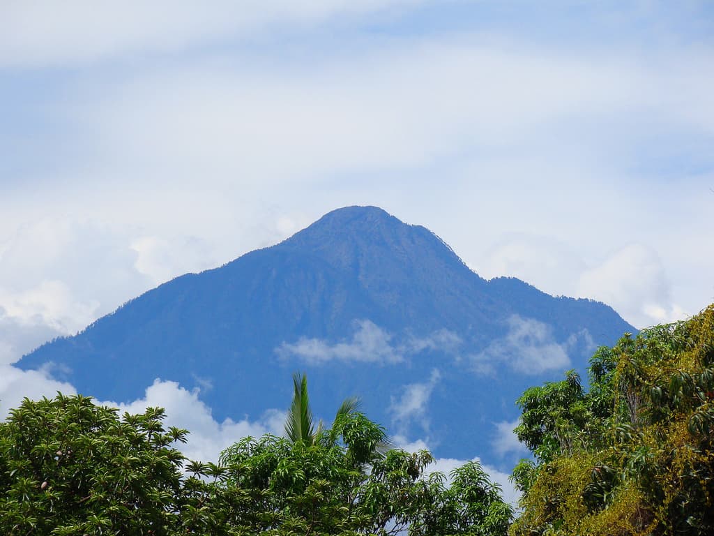 Tapachula — Clara Contigo