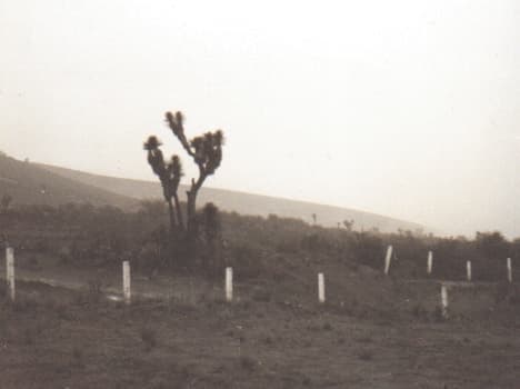 Tehuacán — Clara Contigo