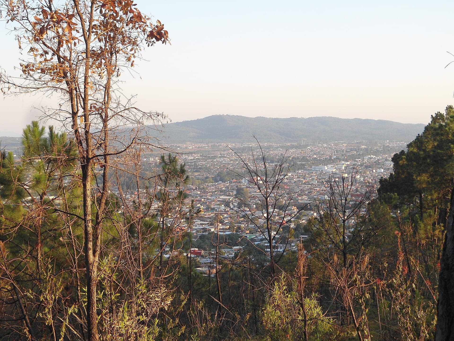 Uruapan — Clara Contigo