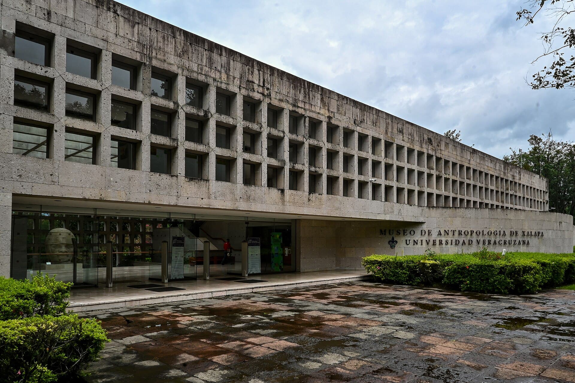 Xalapa — Clara Contigo