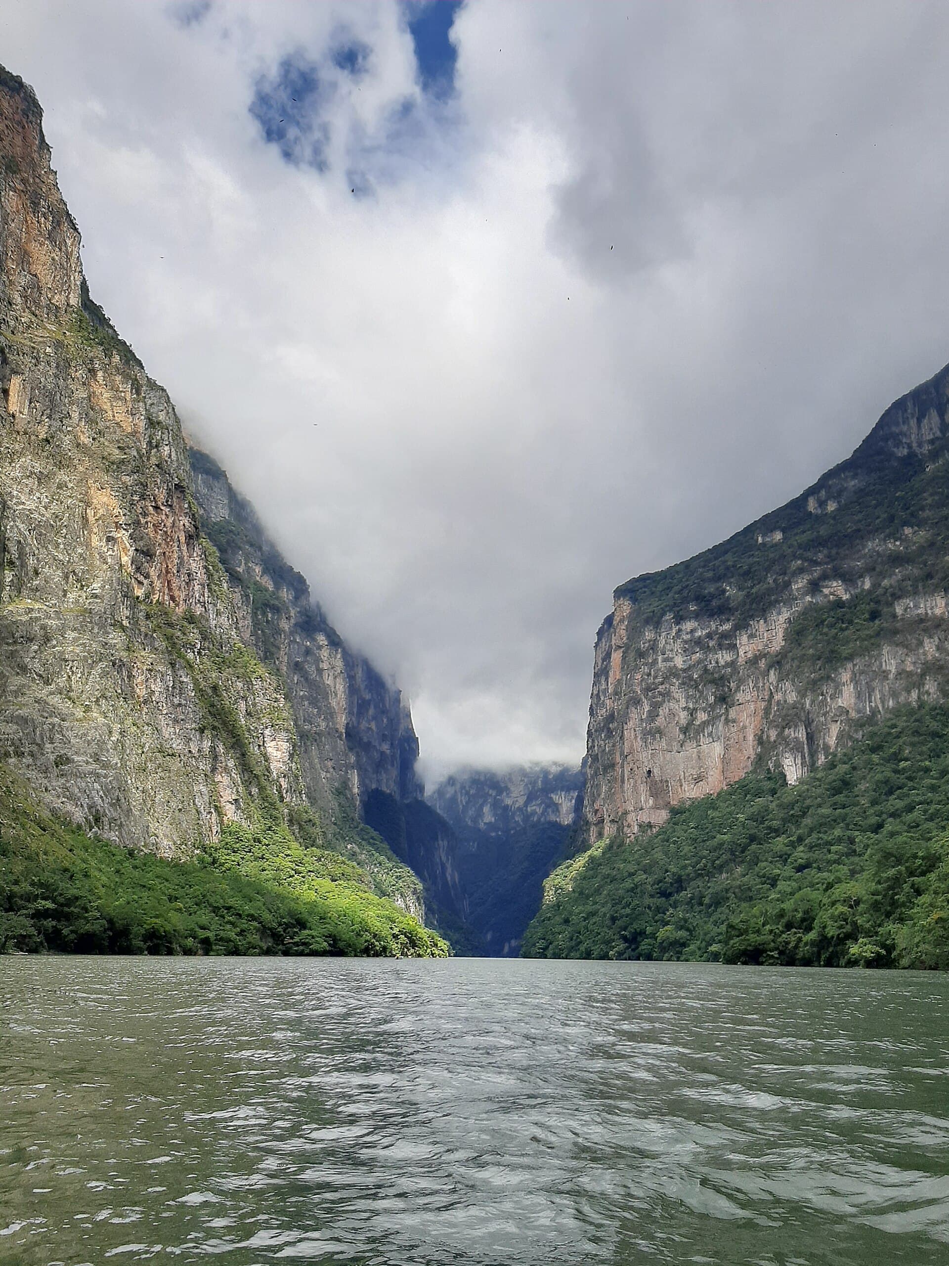 Chiapas — Clara Contigo
