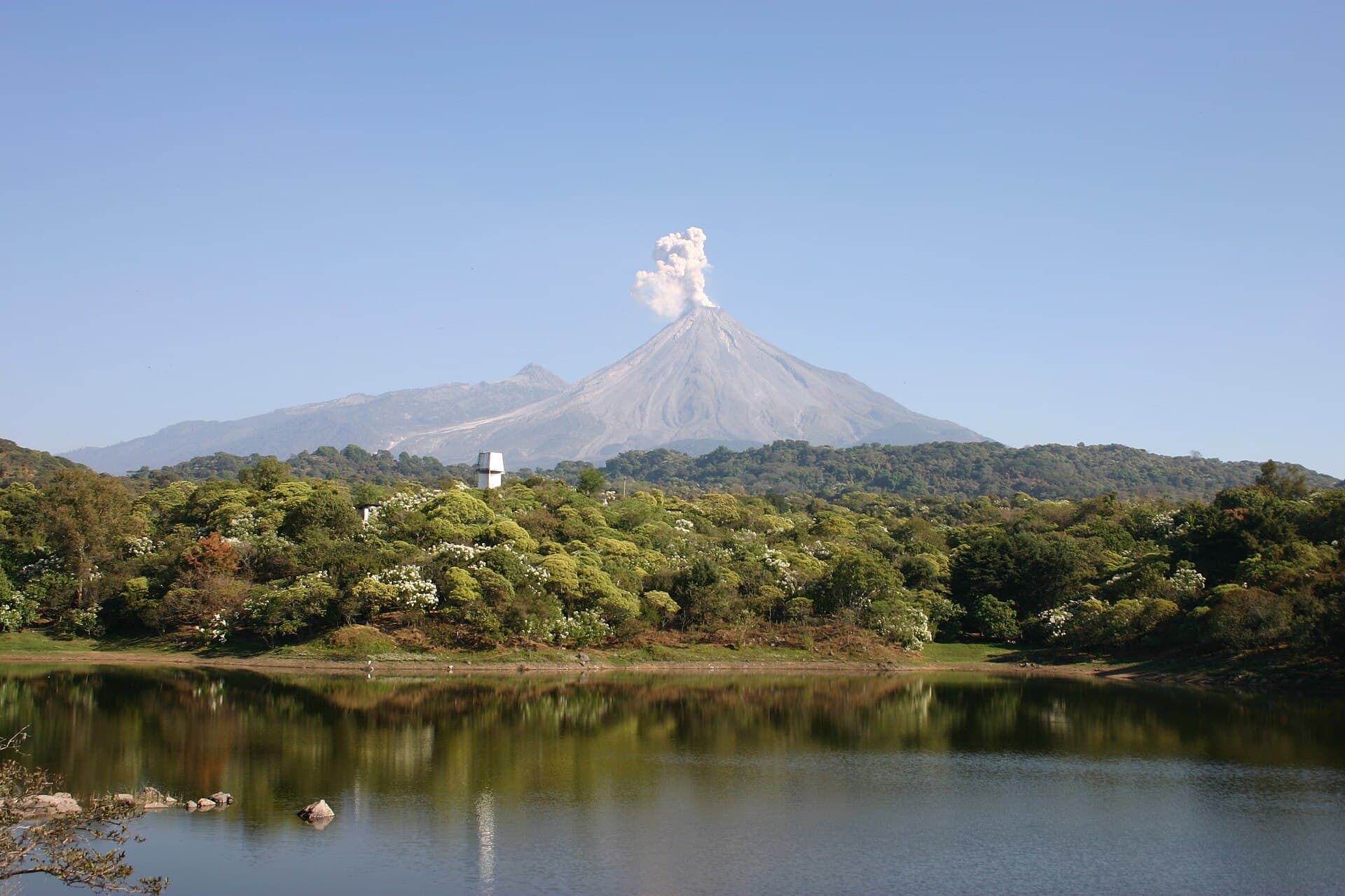 Colima — Clara Contigo